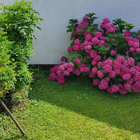 Ferien Bei Anja *